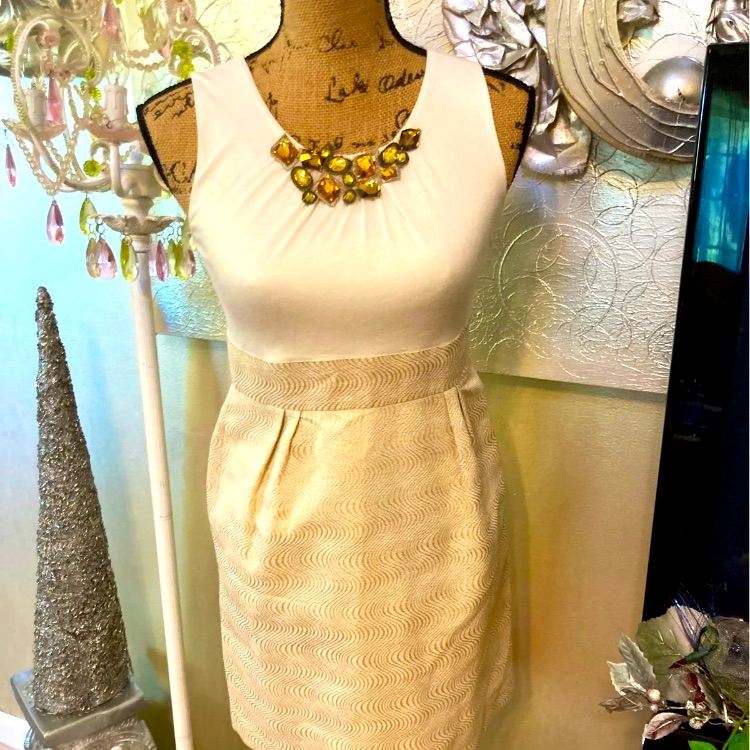 Beautiful Dress By Zoe Ltd